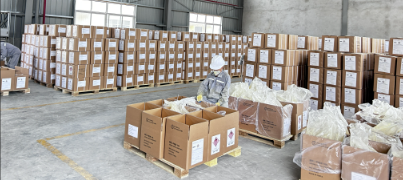 Azodicarbonamide|AC blowing agent|ADC foaming agent|123-77-3
