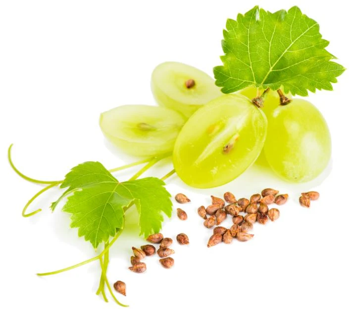 Ekstrak Biji Anggur